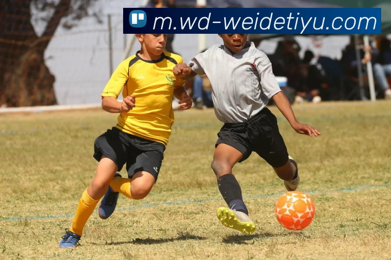 多媒体互动体验