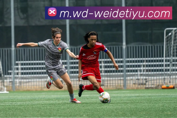 伟德体育APP 高清赛事图